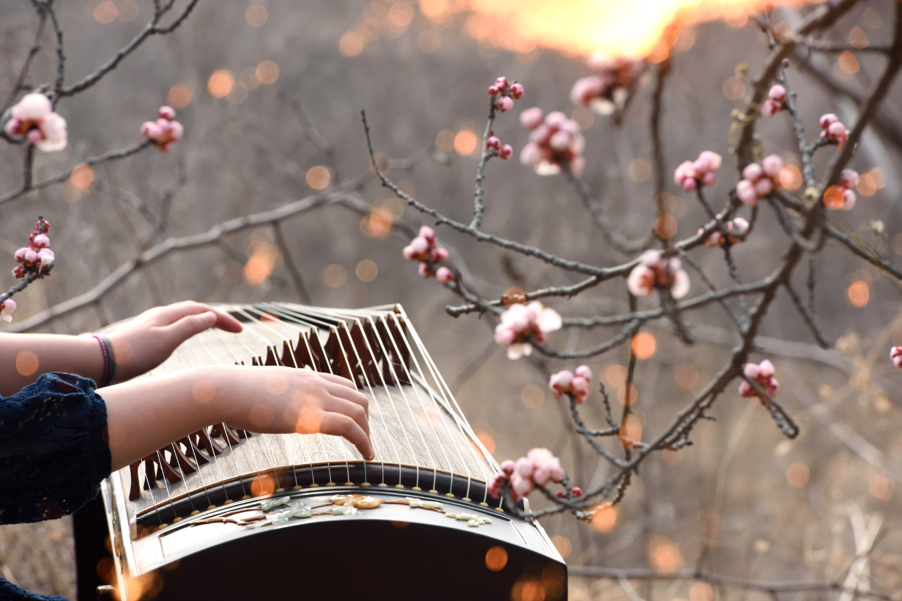 Chinese zither